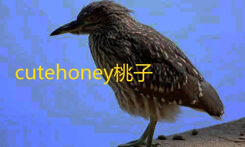 抖音粉丝业务套餐cutehoney桃子移植
